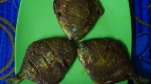 pmf5