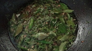 sut5