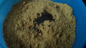 cpd11