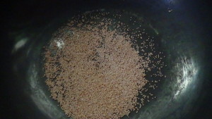 gbd4